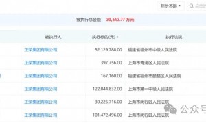 地产大佬深陷囹圄，上海商业项目二拍上架