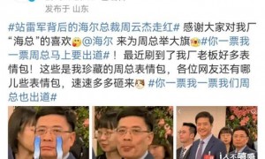 华为牵手刘亦菲，还是比不上站在樱花树下的雷军