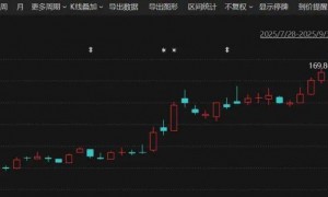 300274，正式冲刺H股！市值超3300亿元