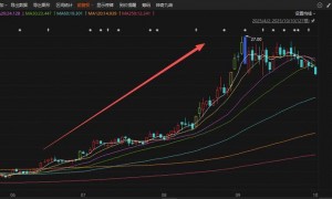 应声一字涨停！A股三季报行情纵深推进，17家上市公司净利最高同比预增超100%
